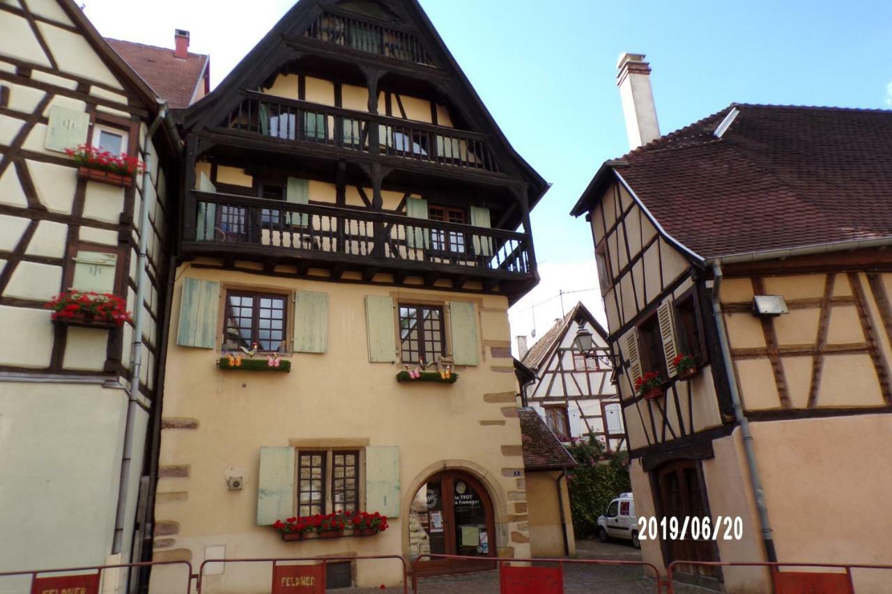 Duplex Saint Lustre, View Over Castle And Storks, 5 Mn From Colmar Eguisheim Bagian luar foto