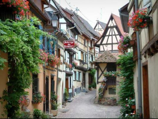Duplex Saint Lustre, View Over Castle And Storks, 5 Mn From Colmar Eguisheim Bagian luar foto