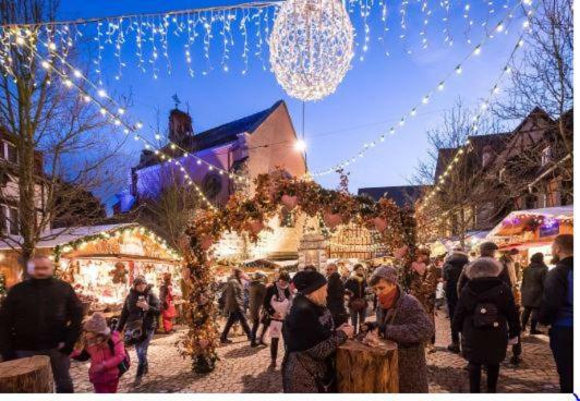 Duplex Saint Lustre, View Over Castle And Storks, 5 Mn From Colmar Eguisheim Bagian luar foto