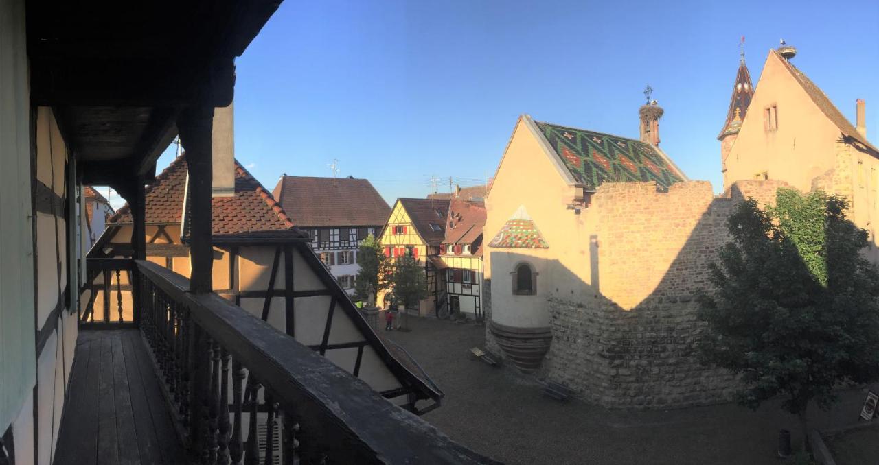 Duplex Saint Lustre, View Over Castle And Storks, 5 Mn From Colmar Eguisheim Bagian luar foto